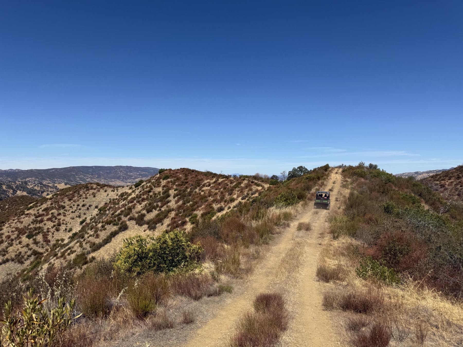 An ATV in the distance on a hillside at UC Davis' Quail Ridge Reserve