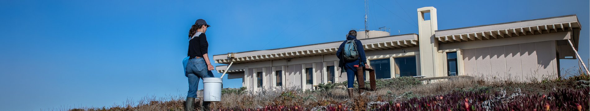 Researchers working outside a coastal field station